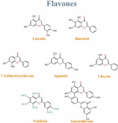 Flavonoids against depression: a comprehensive review of literature